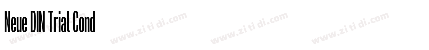 Neue DIN Trial Cond字体转换